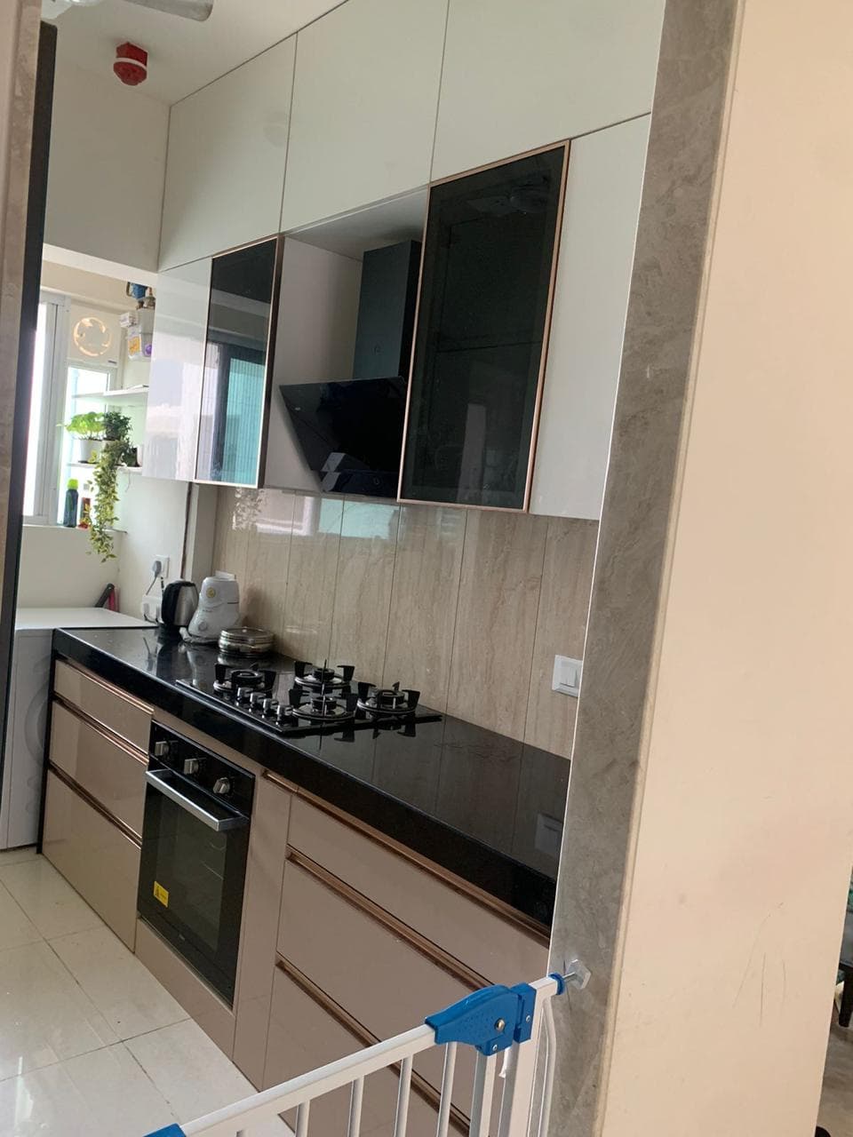 Modular Kitchen detail 2